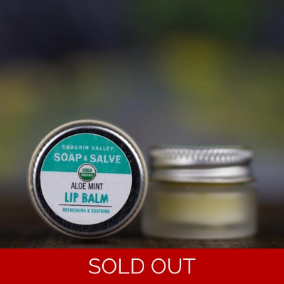 Aloe Mint Lip Balm